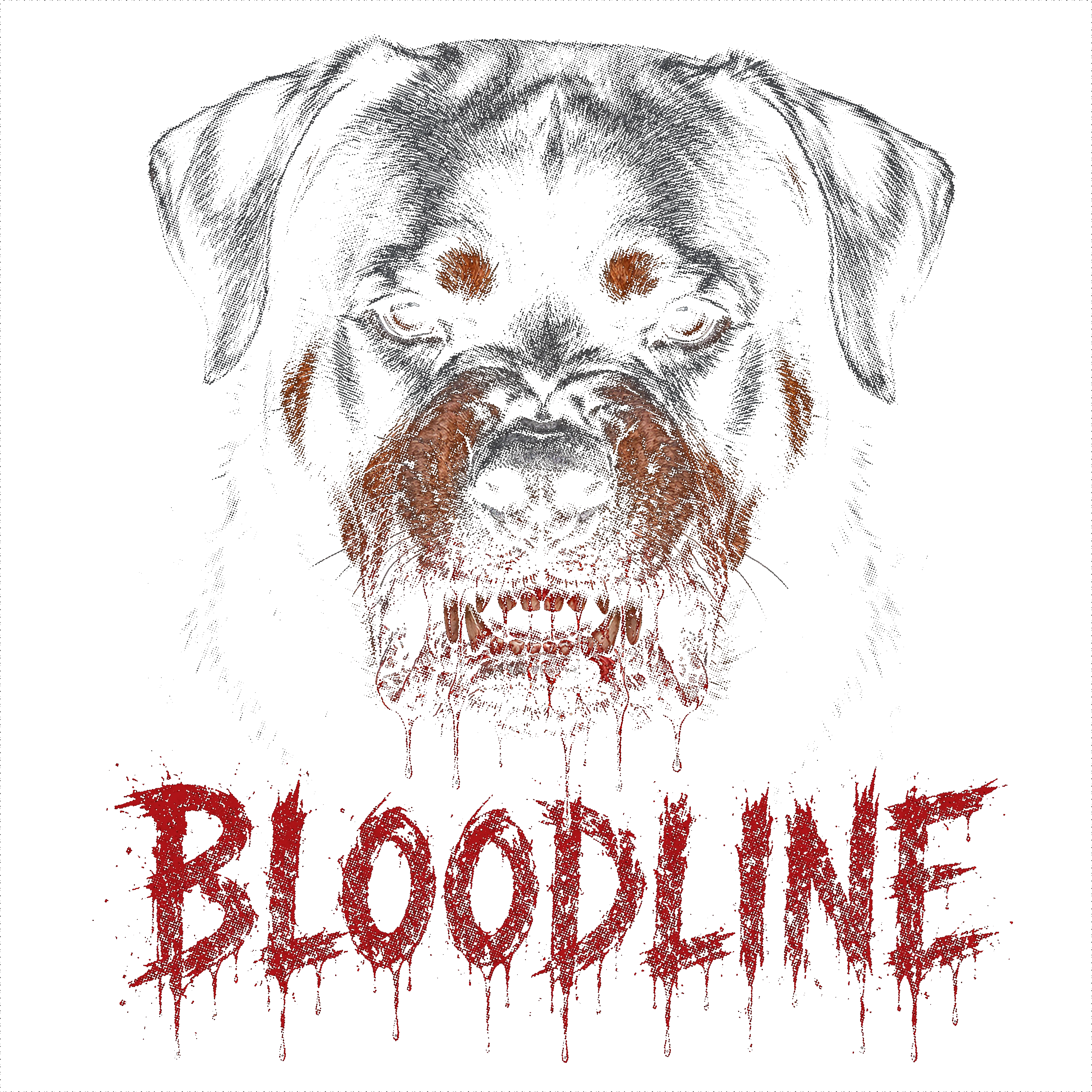 Air Jordan 12 Bloodline Matching T-Shirt, Sweatshirts, & Hoodies Black T-Shirt (Bloodline)| illcurrency