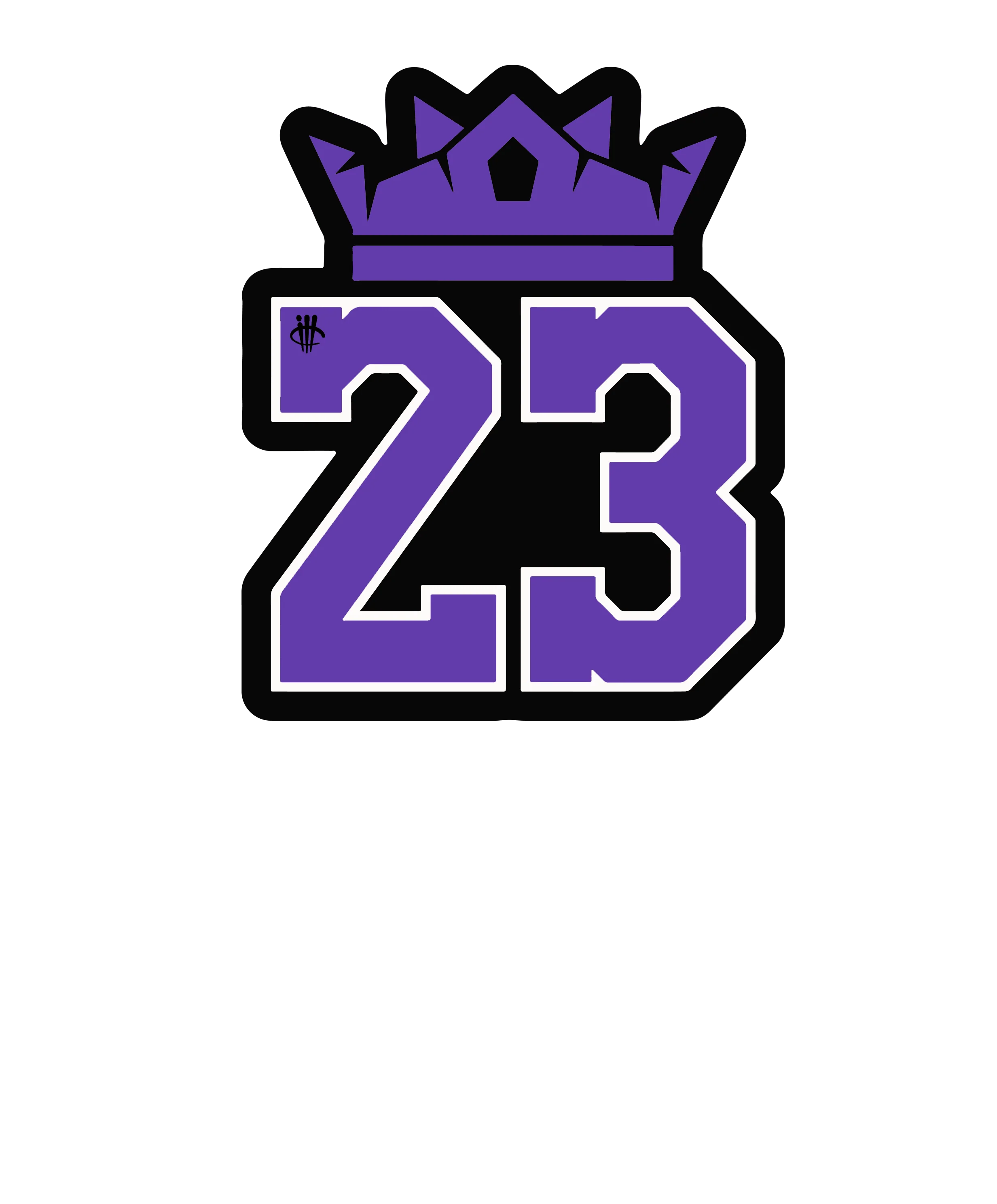 Air Jordan 13 “Court Purple” Purple T-Shirt (23)